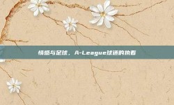 情感与足球，A-League球迷的执着