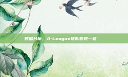 数据分析，A-League球队表现一览📊