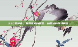 530号传奇，默默无闻的明星，被低估的球场英雄！