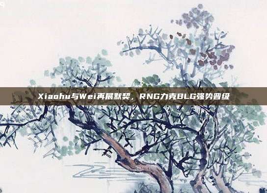 Xiaohu与Wei再展默契，RNG力克BLG强势晋级  第1张