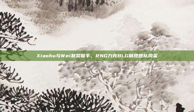 Xiaohu与Wei默契联手，RNG力克BLG展现团队风采  第1张