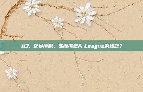 113. 决赛前瞻，谁能捧起A-League的桂冠？  第1张