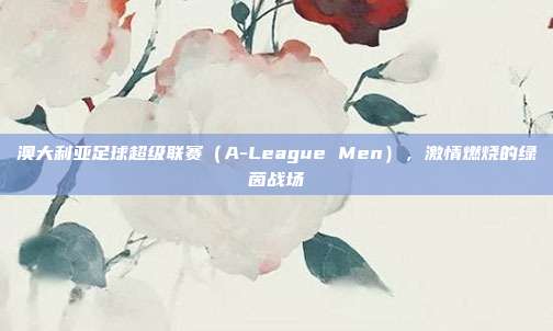 澳大利亚足球超级联赛（A-League Men），激情燃烧的绿茵战场  第1张