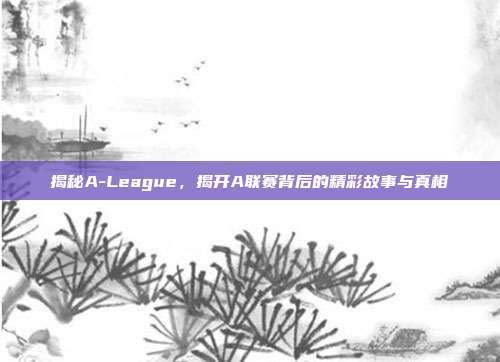 揭秘A-League，揭开A联赛背后的精彩故事与真相  第1张