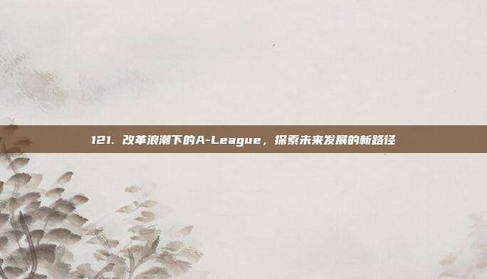 121. 改革浪潮下的A-League，探索未来发展的新路径  第1张