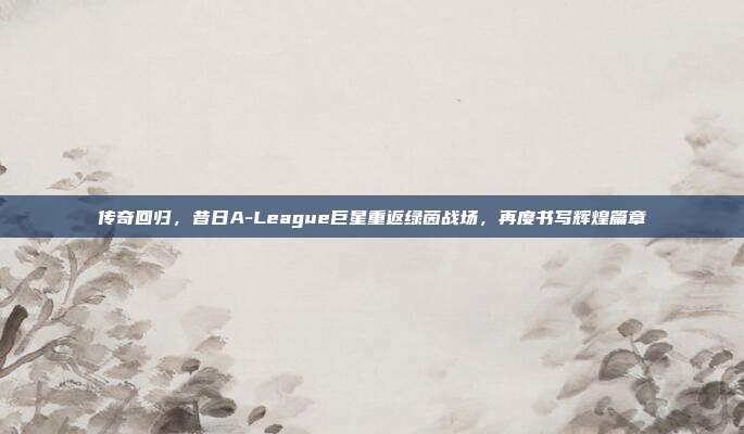 传奇回归，昔日A-League巨星重返绿茵战场，再度书写辉煌篇章  第1张