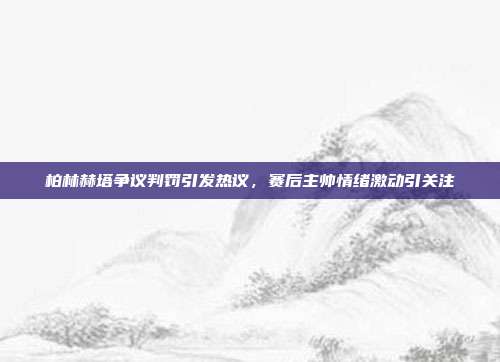 柏林赫塔争议判罚引发热议，赛后主帅情绪激动引关注  第1张