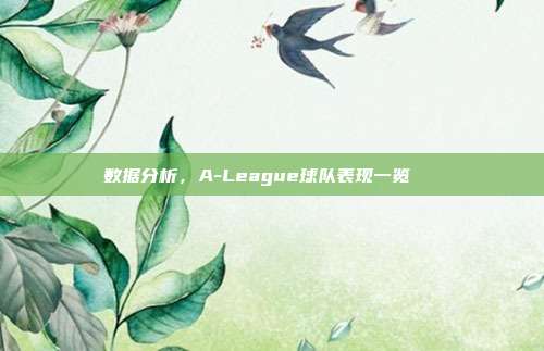 数据分析，A-League球队表现一览📊  第1张