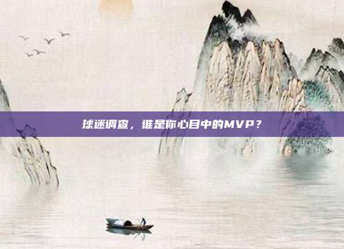 球迷调查，谁是你心目中的MVP？  第1张