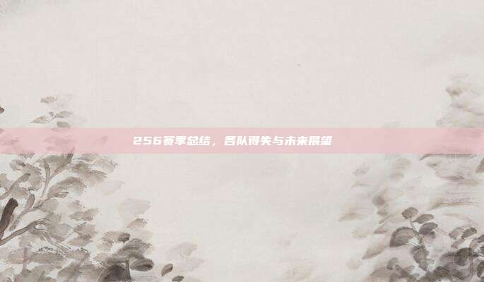 256赛季总结，各队得失与未来展望📈  第1张