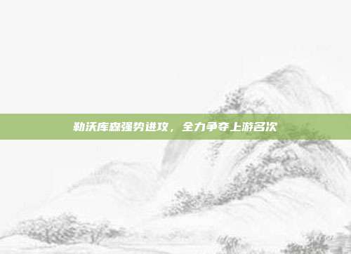 勒沃库森强势进攻，全力争夺上游名次  第1张