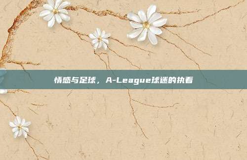 情感与足球，A-League球迷的执着  第1张