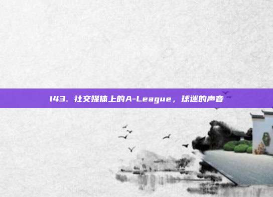 143. 社交媒体上的A-League，球迷的声音  第1张