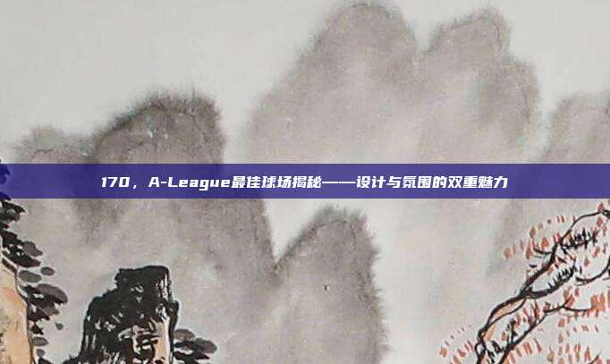 170，A-League最佳球场揭秘——设计与氛围的双重魅力  第1张