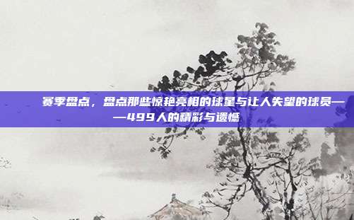 🎉 赛季盘点，盘点那些惊艳亮相的球星与让人失望的球员——499人的精彩与遗憾  第1张