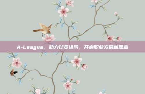 A-League，助力球员进阶，开启职业发展新篇章  第1张