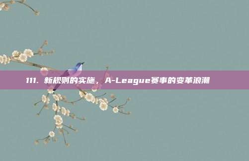 111. 新规则的实施，A-League赛事的变革浪潮🔄  第1张