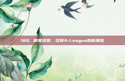 180. 明星球员，引领A-League的新潮流  第1张