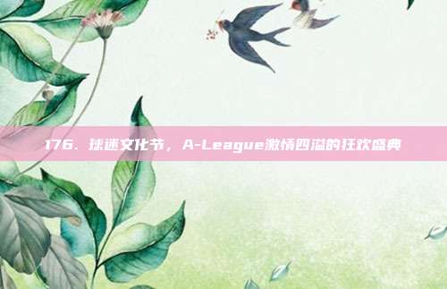 176. 球迷文化节，A-League激情四溢的狂欢盛典  第1张